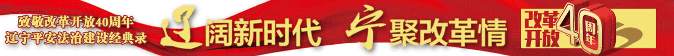 致敬改革開放40周年遼寧平安法治建設經(jīng)典錄